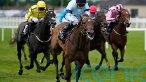 Believing set to light up sales ring