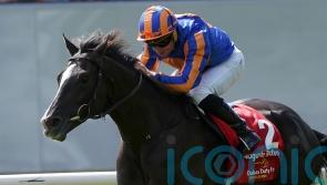 Auguste Rodin &lsquo;in good condition&rsquo; after Japan Cup gallop