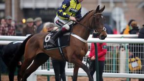 National Quest on the cards for Surrey