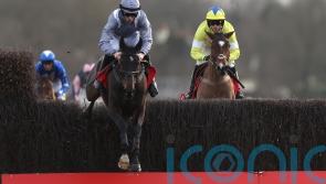 Il Est Francais team still stumped by Auteuil flop