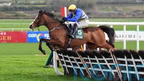 Punchestown Joy for Mullins and Townend