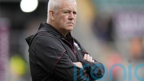 Wales rugby bosses hope review into dismal run will be completed by Christmas