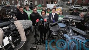 Sinn Fein leader accuses Simon Harris of &lsquo;scaremongering&rsquo; over economic shocks