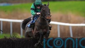 Arizona Cardinal back in good spirits and Aintree bound again