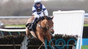 Golfing aces hoping to be on a par with home runners at Fairyhouse