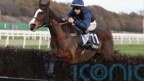 Another good Saturday winner for Ned Fox and Venetia Williams