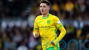 Ante Crnac at the double as Norwich see off Luton