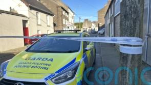 Eight-year-old girl dies of injuries after assault in Co Wexford