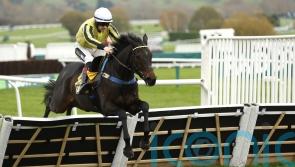 All roads lead to Cheltenham for Gredley Festival hopes