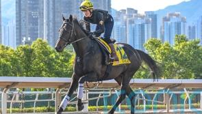 Starlust still going strong ahead of Hong Kong Sprint bid