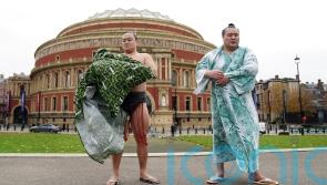 London to stage second professional Sumo event outside of Japan next October