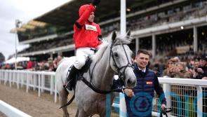 Thriving Grey Dawning bang on course for King George