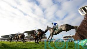 Murphy has Grey in Resplendent form ahead of Sandown test