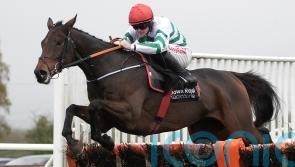 The Yellow Clay leaves it late in Navan feature