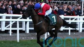 Mullins describes Ferny Hollow death as &lsquo;very, very sad&rsquo;