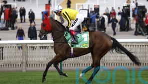 Gredley duo to take on Triumph Trial assignment