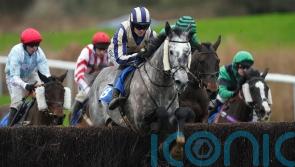 King Turgeon bidding to continue on upward curve at Cheltenham