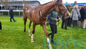 Lecky Watson denies Rachael Blackmore comeback win