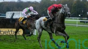 Skelton sees Grey Dawning as ticking plenty of King George boxes