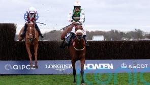 Here Comes Georgie boosts The Real Whacker team with Ascot victory