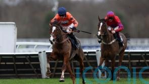 Ascot winner Belliano &lsquo;very much one for the future&rsquo;