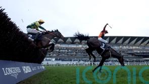 Mark Of Gold makes the most of Personal Ambition slip