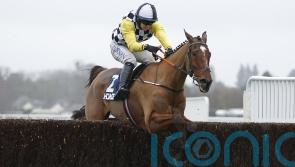 Jungle Boogie gets the Christmas party jumping at Ascot