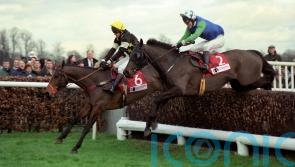 Thornton loved getting back to Business on Boxing Day