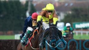 Galopin Des Champs ready to defend formidable Leopardstown record