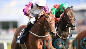 First Ambition will bid to uphold family honour at Newcastle