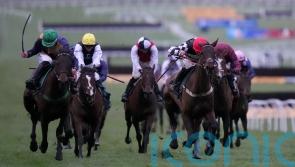 Precious victory for Henrietta Knight at Cheltenham