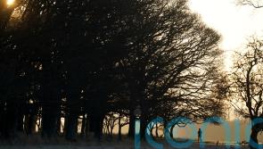 Several snow and ice alerts issued as cold snap hits Ireland this weekend