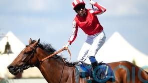 Shepherd hunting Group One gold in 2025