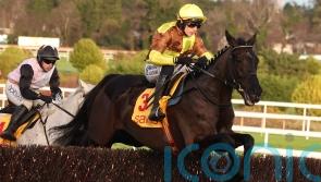 Galopin Des Champs stands tall against just five British-trained Gold Cup hopefuls