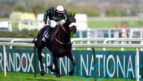 Strong Leader booked for Cleeve Hurdle outing before spring plans
