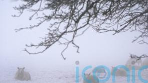 End of cold snap &lsquo;in sight&rsquo; in Ireland
