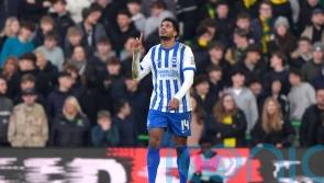 Georginio Rutter at the double as Brighton ease past Norwich in FA Cup
