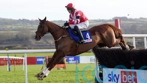 Lecky Watson makes all for Punchestown prize