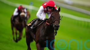 Clover sets sights on Red Sea riches with Al Nayyir