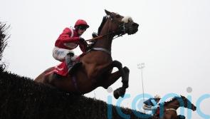 Soul Icon camp eyeing Sandown spin for their &lsquo;little superstar&rsquo;