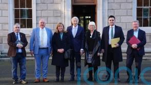 Fine Gael and Fianna Fail leaders welcome agreement to shape next government