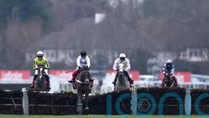 Constitution Hill and Lossiemouth possible for Cheltenham rematch