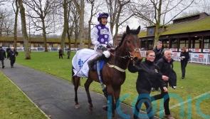 Dedicated Hero will look to enhance excellent Kelso record