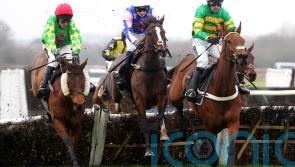 That&rsquo;s Nice wins cosily at Warwick, but Festival foray unlikely