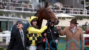 Lulamba features in entries for Supreme Novices&rsquo; Hurdle