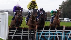 Straight to Cheltenham for Supreme favourite Salvator Mundi