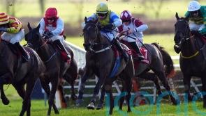 Rocky&rsquo;s Diamond delivers knockout blow in Galmoy Hurdle