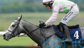 Lossiemouth heading to Leopardstown after swerving Constitution Hill rematch