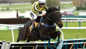 Big day for Sam Twiston-Davies, with leading Festival contenders on trial at Cheltenham