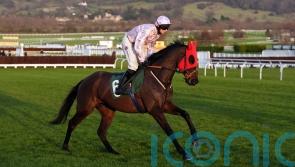 Sixmilebridge surprises Potters Charm at Cheltenham
